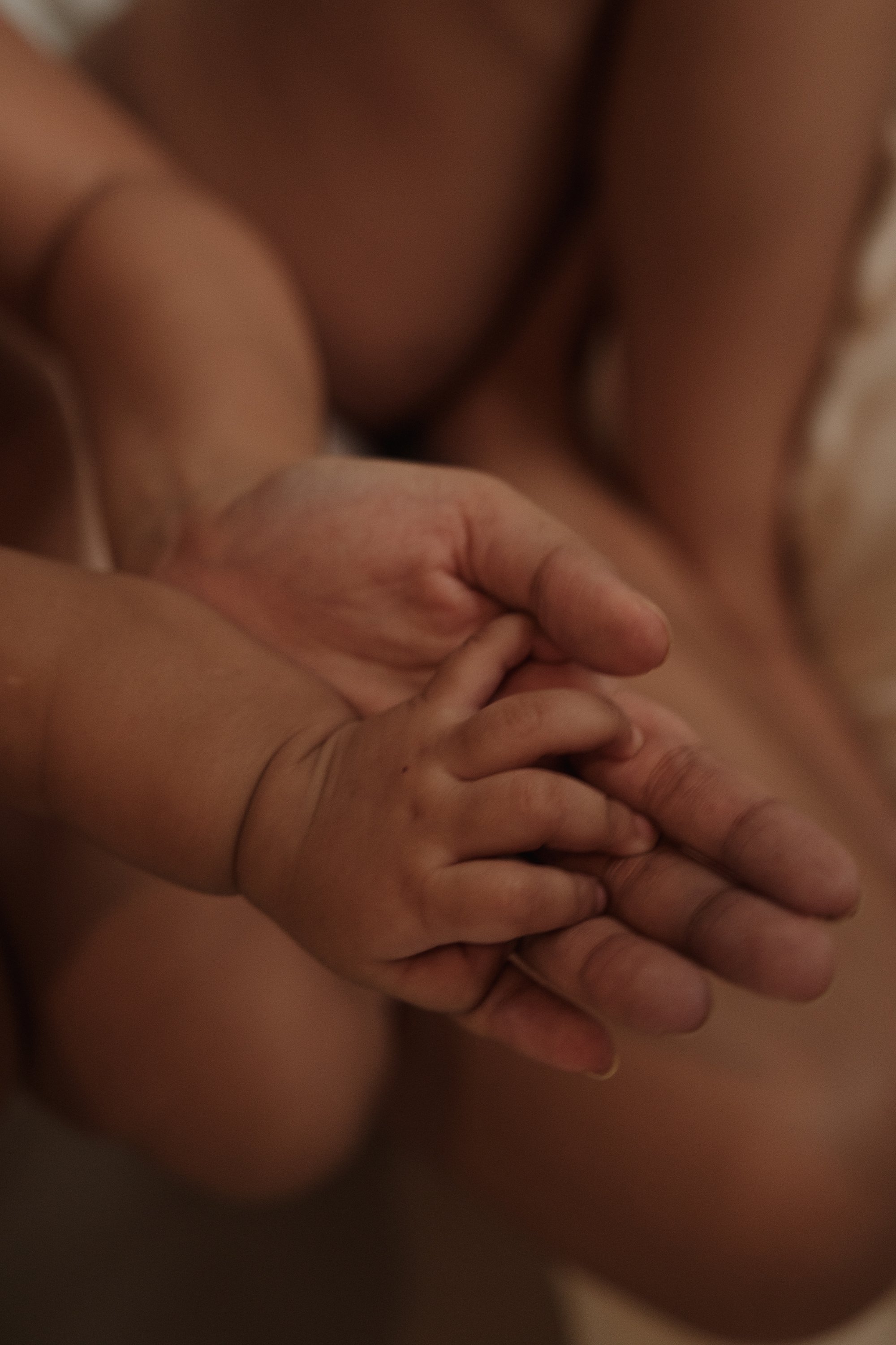 Mother and Baby's Hands